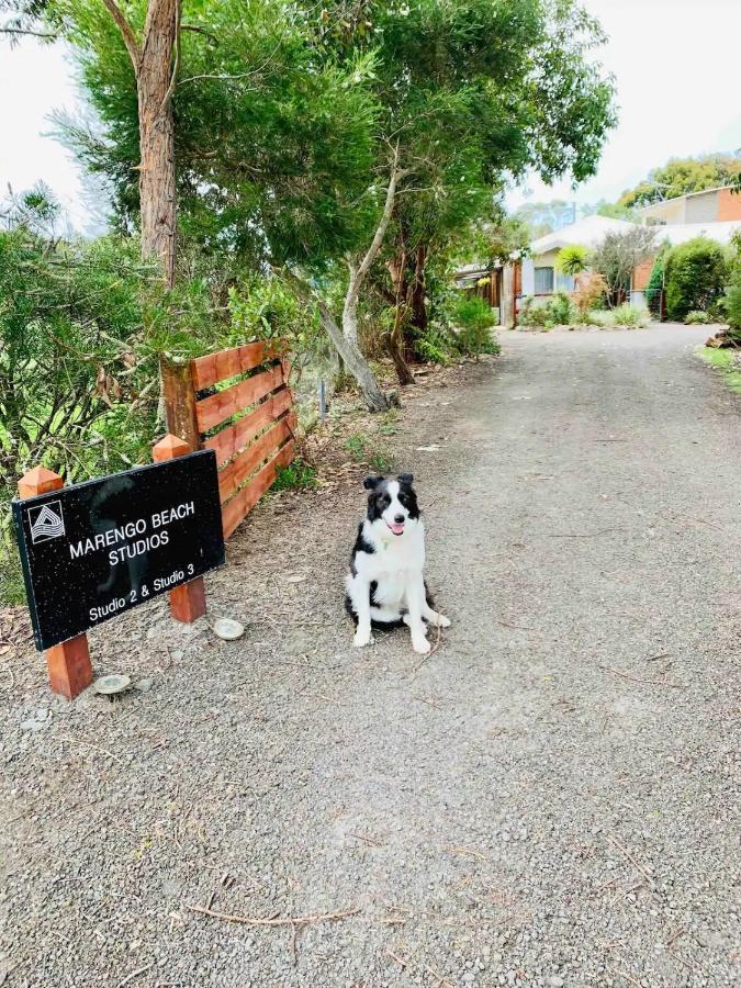 Marengo Beach Studios- Pet Friendly Exterior photo
